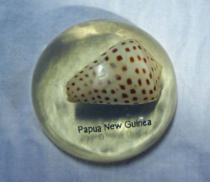 Papua New Guinea - Paper Weight
