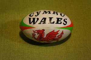 Wales - Mini football (1)