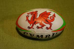 Wales - Mini football (2)