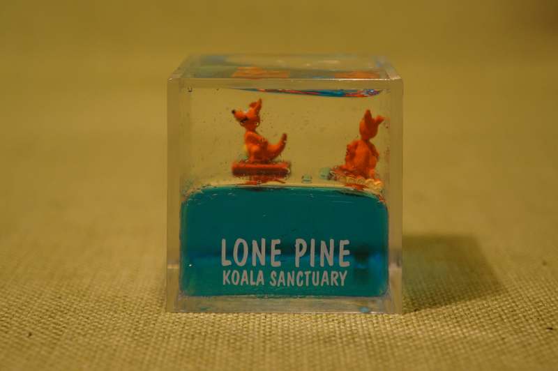 Brisbane - Lone Pine - Snow Cube  (1)