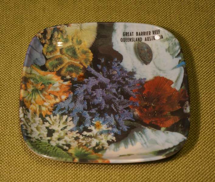 Great Barrier Reef - Plastic plate coral (1)