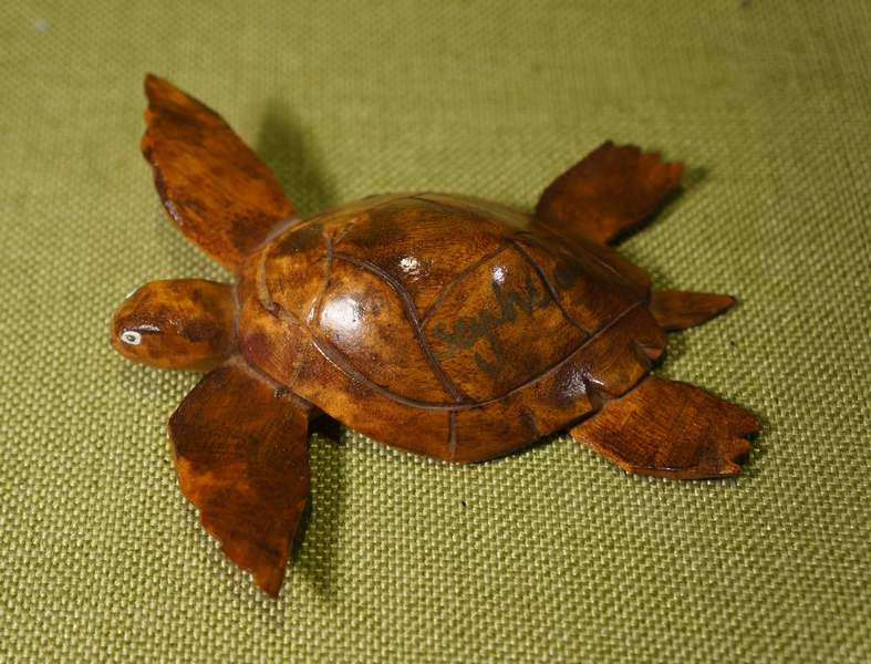 Seychelles - wooden turtle ornament (1)