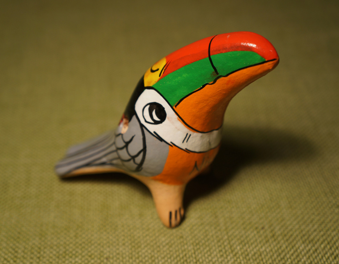 nicaragua-bird-whistle-toucan-1