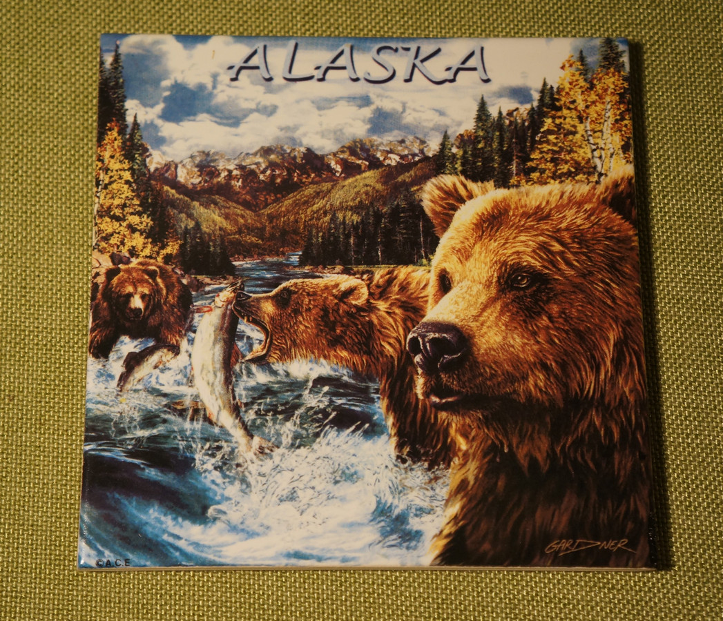 Alaska - trivet - Bear (3)