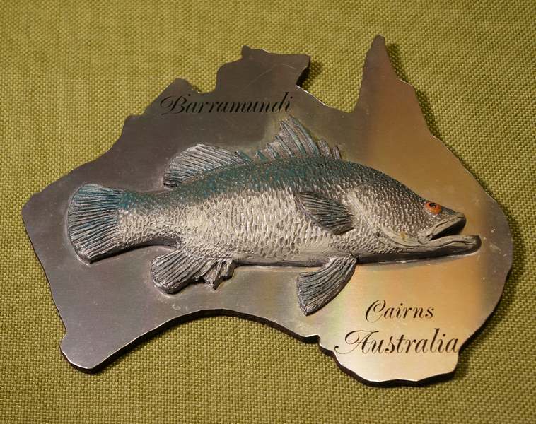 Cairns - Wall Hanging - Barramundi (1)